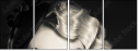 50218208
