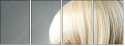 50250548