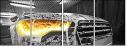 50351832