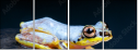 50366264