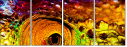 50502121