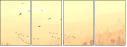 50573236