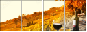 50713543