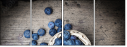 50752348