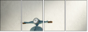 50981081
