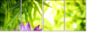 51188195