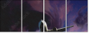 51192902