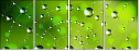 51217403