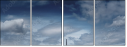 51423247