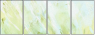 51719241