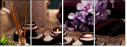 51904440