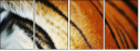 51974402