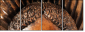 52004103