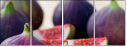 52014179