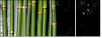 52100193