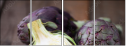 52349842