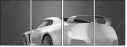 52445561