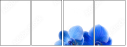52702119