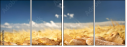 52793015