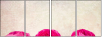52805750