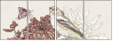 52864723