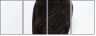 52924822