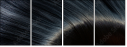 52931906