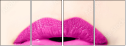 53018063