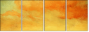 53049559