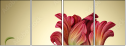 53620814
