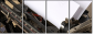 5370136