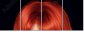 53895849