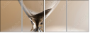 54170925