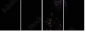 543091383