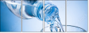 54329215