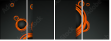 54482916