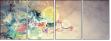 54496045