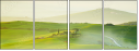 54529677