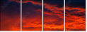 54554863