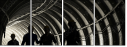 54870569