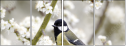 54886078