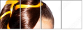 54891018