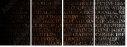 54969981