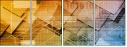 54970423