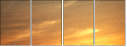 54974402