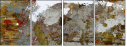 55026484