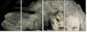 55066305