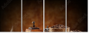55124916