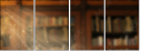 55126257
