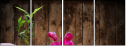 55155599